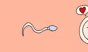 四平试管婴儿费用具体要花多少钱？2026费用明细表大公开