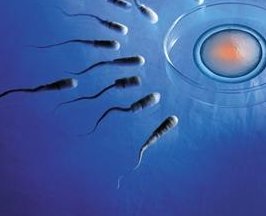 2026年没有卵泡去安徽做三代试管可以吗？真实成功率公布