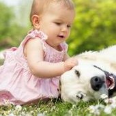 2026年未婚去梧州市工人医院做试管的全部费用要多少？