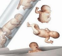 未婚去哈萨克努莱生殖医院做试管的流程是怎么样的？未婚试管攻略大全