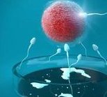 北京做试管婴儿全攻略，让您轻松应对每一步