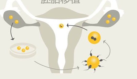 江南附属医院试管成功率有多少？